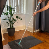 Pet Hair Rake