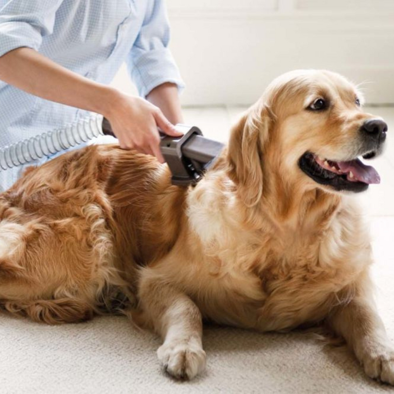 Pet Grooming Vacuum Brush